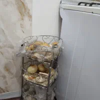 جاسیب زمینی