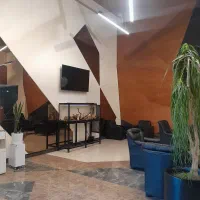 راننده خانم