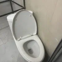توالت فرنگی