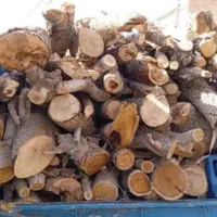 خریدار چوب ودرخت .قطع و برش