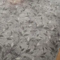 پالازموکت نونو