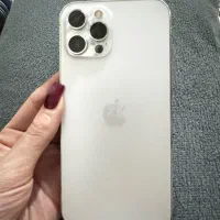12پرومکس