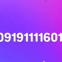 0919*111*16*01*
