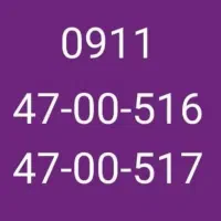 خط 911 رند دوقلو