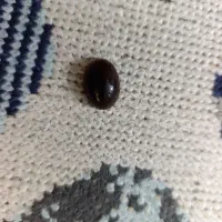 عقیق یمن باشرف شمس