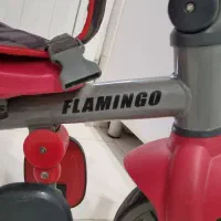 سه چرخه FLAMINGO