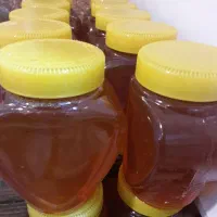 عسل طبیعی|خوردنی و آشامیدنی|گوگان, |دیوار