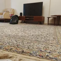 فرش دستبافت ۶متری|فرش|تهران, نیروی هوایی (پیروزی)|دیوار