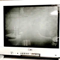 تلوزیون ال جی تمیز۲۱