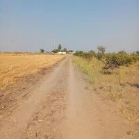 زمین ۶۰۰ متری در جاده هاشم اباد