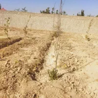 فروش باغچه در منجیل آباد