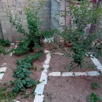 خانه ویلای دوبلکس کارگر شمالی|فروش خانه و ویلا|خلخال, |دیوار