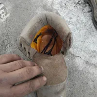 کفش کوه نوردی