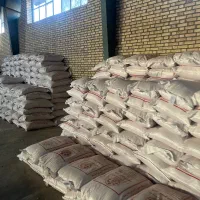 فروش بذر گندم اصلاح شده|خدمات باغبانی و درختکاری|اراک, |دیوار