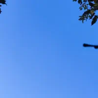 مهربانی فروشی 12ماهه