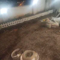 خدمات ساختمانی صفر تا صد انبوه سازان