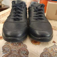 کفش کتانی چرمی