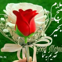 حس برتر تدریس ابتدایی ومتوسطه اول