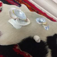 دکور و استند اکسسوری