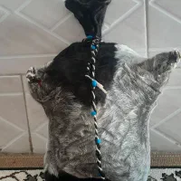 هیزه جاروغن