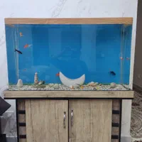 اکواریوم به همراه لوازم