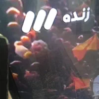تلویزیون فیلیپس ۴۰ اینچ