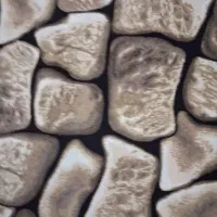 فرش اردکان|فرش|گرگان, |دیوار