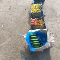 میوه تازه|حراج|گنبد کاووس, |دیوار