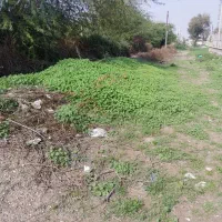نگهبانی باغ
