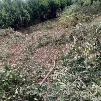 ۲۷۵متر زمین داخل بافت مسکونی ۴دیوار آماده ساخت