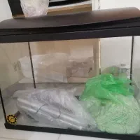 اکواریوم
