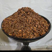 استخدام بازاریاب|استخدام بازاریابی و فروش|قروه, |دیوار