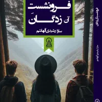 رمان فرونشست آن زدگان