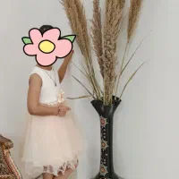 پیراهن عروس|لباس|محمدشهر, محمدشهر|دیوار