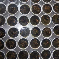 تهیه غذای شرکتی مجلسی همکاری با شرکتها|خدمات پذیرایی، مراسم|رباطکریم, رباطکریم|دیوار