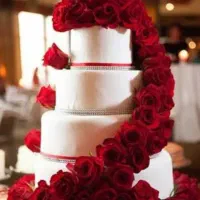 خدمات مجالس تشریفات عقدعروسی تولد باغ تالار آرسیس