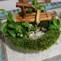 آب نما با گیاهان طبیعی|صنایع دستی و سایر لوازم تزئینی|سرخنکلاته, |دیوار