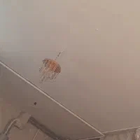 لوستر|لوستر و چراغ آویز|مشهد, رضاییه|دیوار