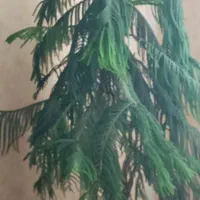 لوازم خانه|حراج|فولادشهر, C7|دیوار