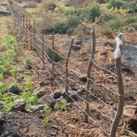 زمین ویلایی ومسکونی|فروش زمین و ملک کلنگی|لوندویل, |دیوار