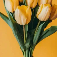 مشاوراملاک بهار سبزحاج ارسلان سلیمانپورفروشواحد