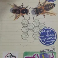 کتاب تست پایه نهم|کتاب و مجله آموزشی|یزد, |دیوار