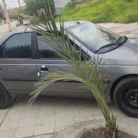 405|خودرو سواری و وانت|سرپل ذهاب, |دیوار