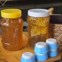 عسل گون خالص جهت درمان