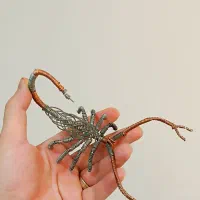 مجسمه مفتولی شاه عقرب|مجسمه، تندیس، ماکت|محمدشهر, ولدآباد|دیوار