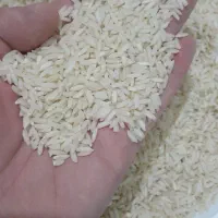 برنج علی کاظمی خوش طعم وخوش پخت