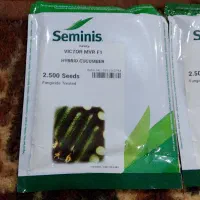بذر خیار ویکتور