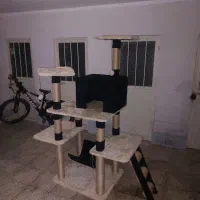 خانه گربه ( اسکرچرگربه)