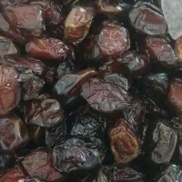 خرمای کبکاب درجه۱