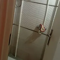 اجاره آپارتمان ۴۵ متری ۱ خوابه طبقه ۱ در شمیران نو